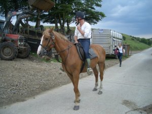 Horse Riding in Devon